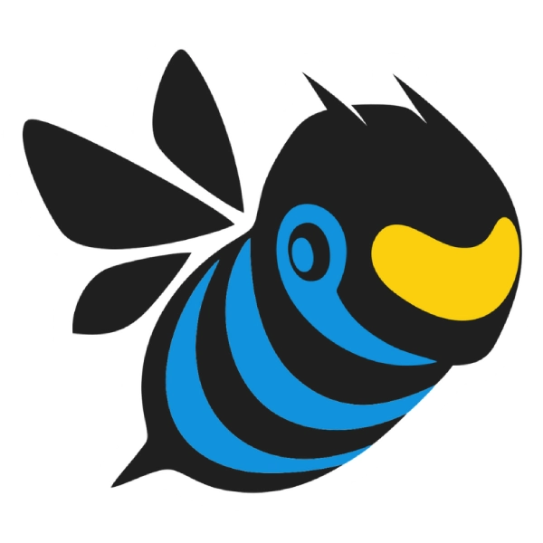 Frelons Guêpes Eysines